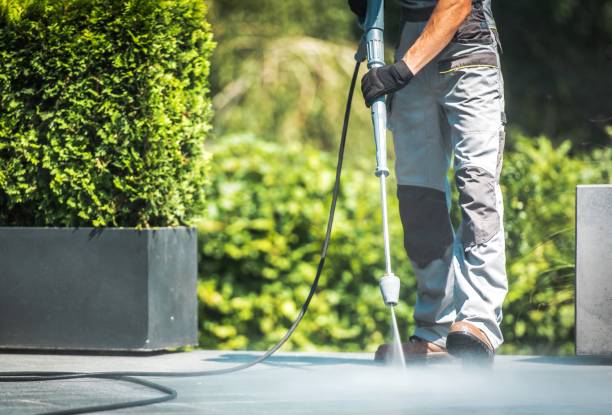 Best Roof Washing  in Ball Pond, CT